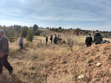 Her Çalışan Bir Fidan